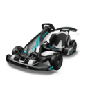 Segway GoKart Pro 2